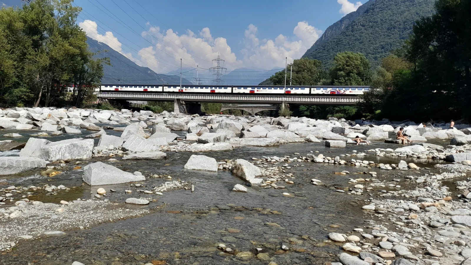Linea del San Gottardo viadotto tra Arbedo e Castione