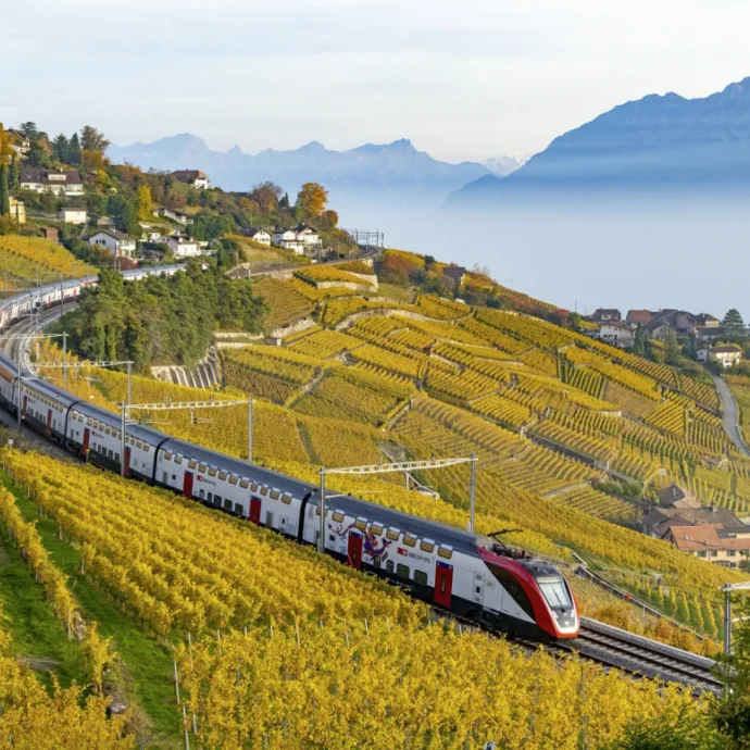 Treno Vigneti Degustazione Mezza Tariffa FFS