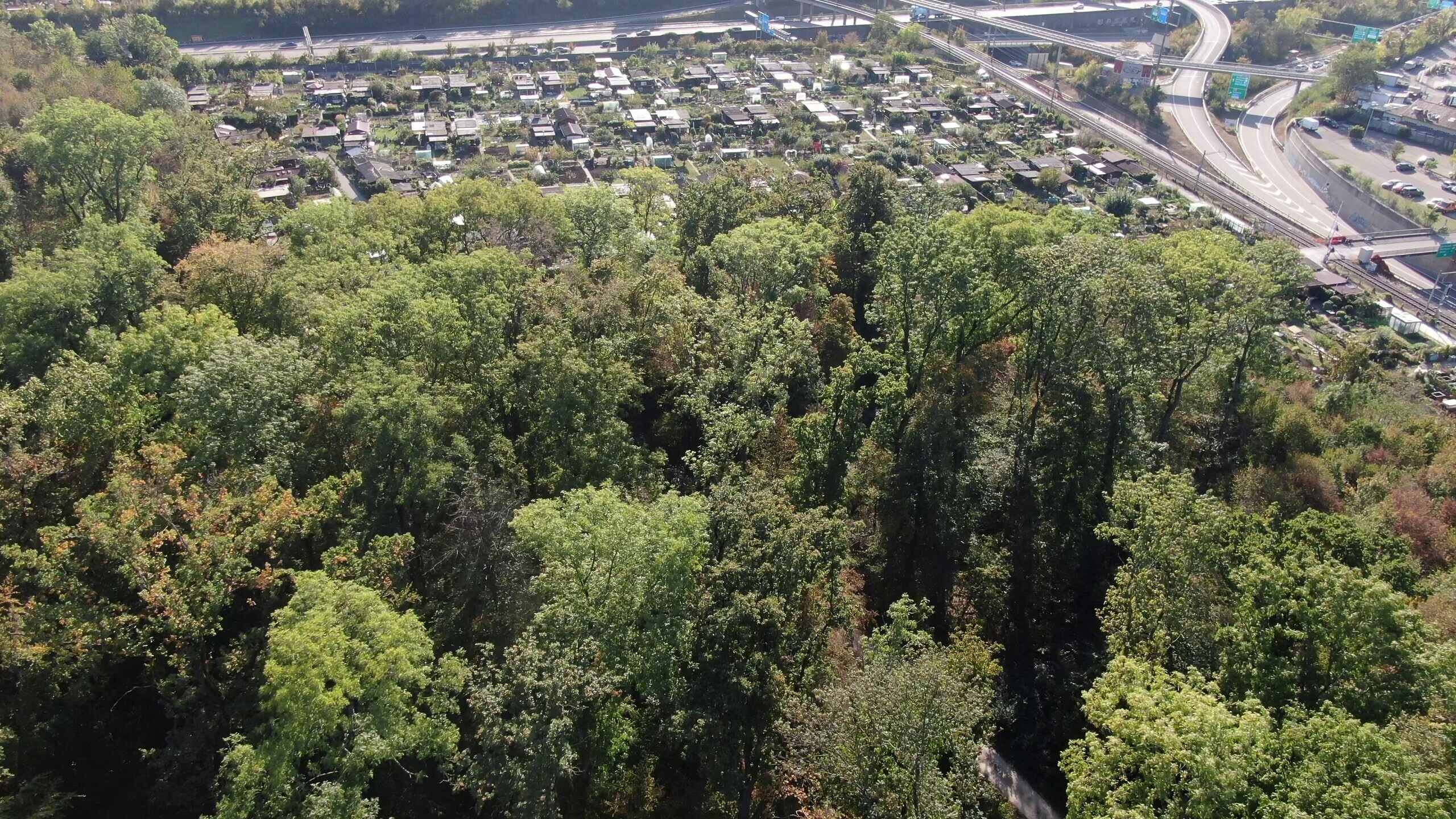 Hardwald Scheuerrain Hagnau
