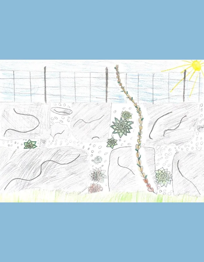 Liana Pop concorso di disegno walk to school