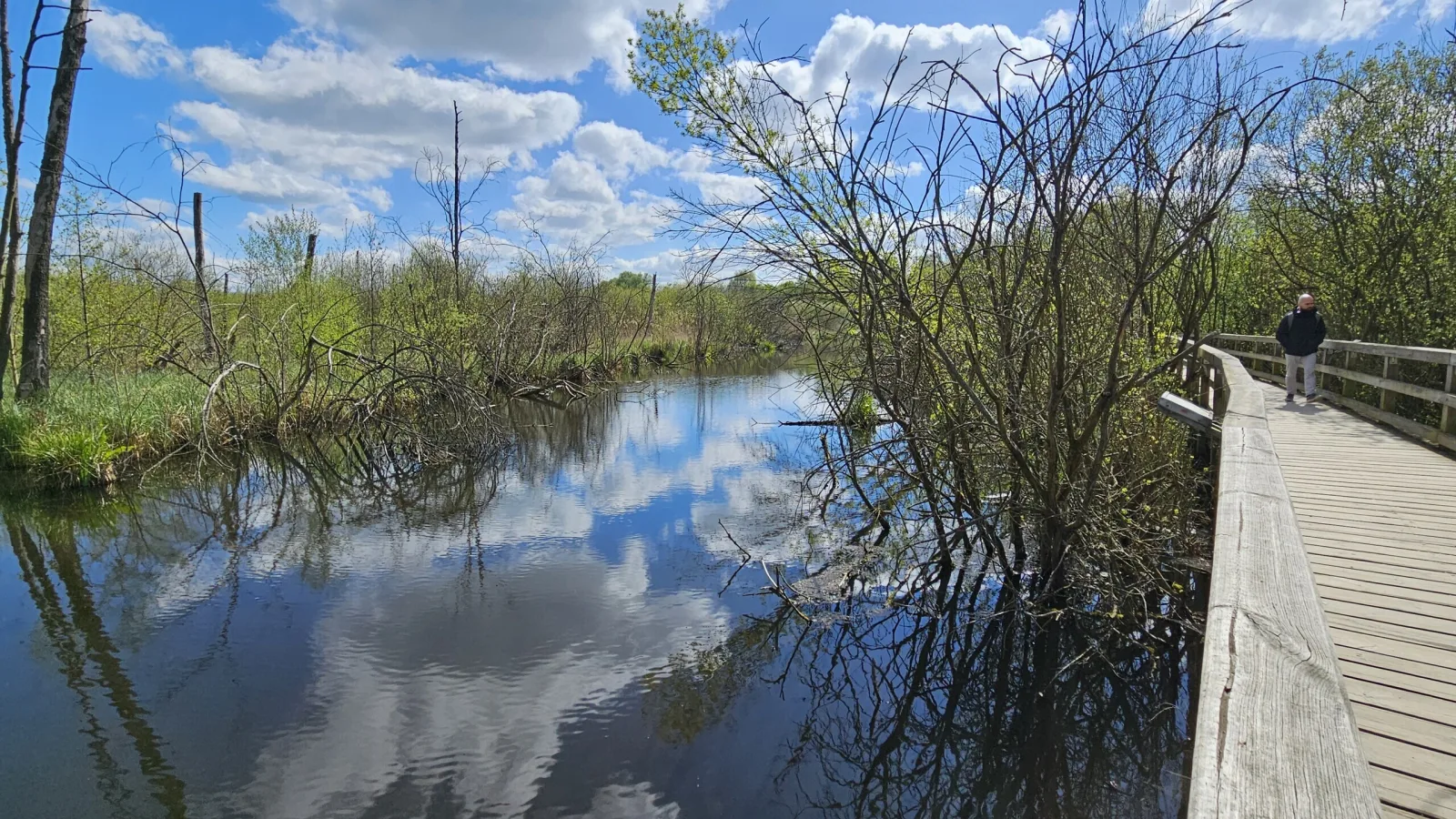 Escursione a Berlino Eichwerder Steg
