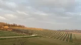 Viaggio in treno nel Piemonte Vigneti