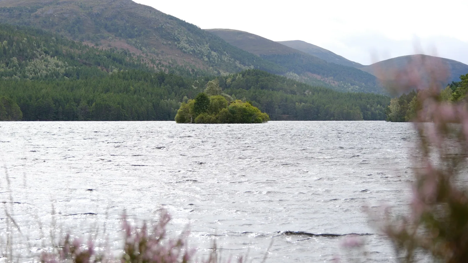 Voyager Écosse Loch An Eilein
