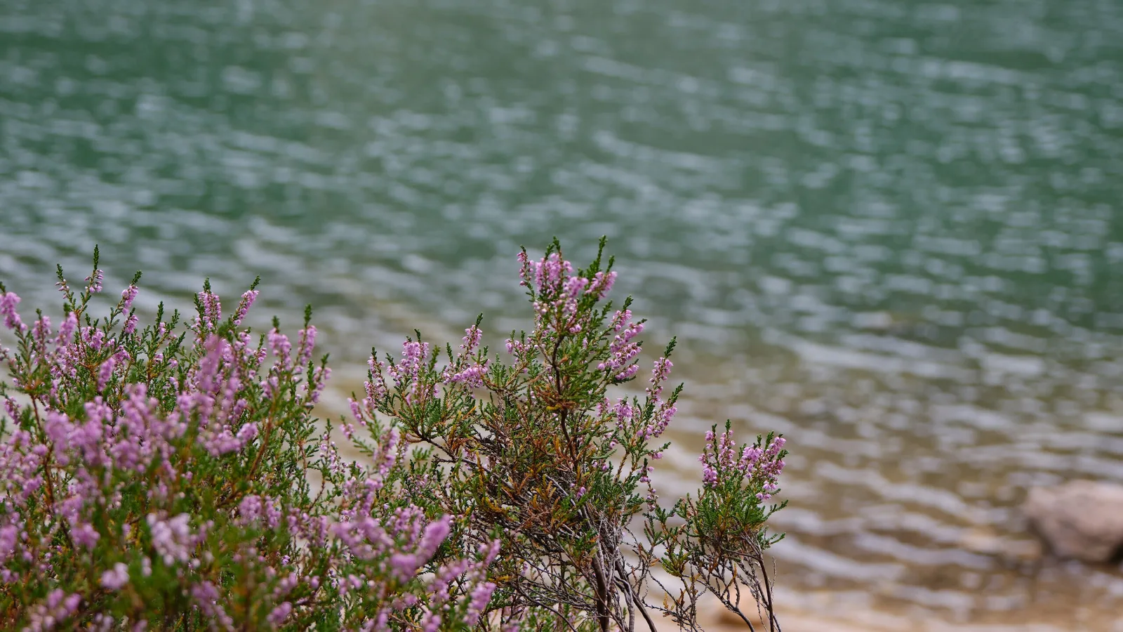 Voyager Écosse An Lochan Uaine