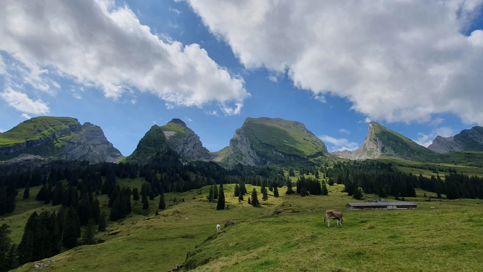 VCS Magazin Reisebericht Toggenburg Churfirsten