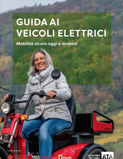 Guida ai veicoli elettrici